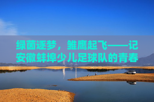 绿茵逐梦，雏鹰起飞——记安徽蚌埠少儿足球队的青春风采