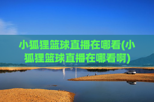 小狐狸篮球直播在哪看(小狐狸篮球直播在哪看啊)