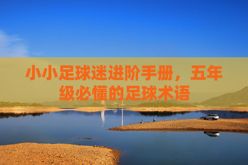 小小足球迷进阶手册，五年级必懂的足球术语