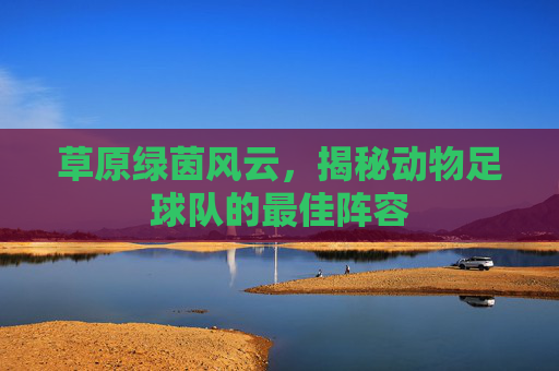 草原绿茵风云,揭秘动物足球队的最佳阵容