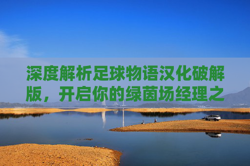 深度解析足球物语汉化破解版，开启你的绿茵场经理之旅