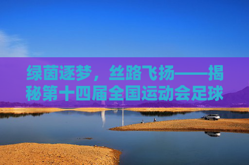 绿茵逐梦，丝路飞扬——揭秘第十四届全国运动会足球比赛举办地