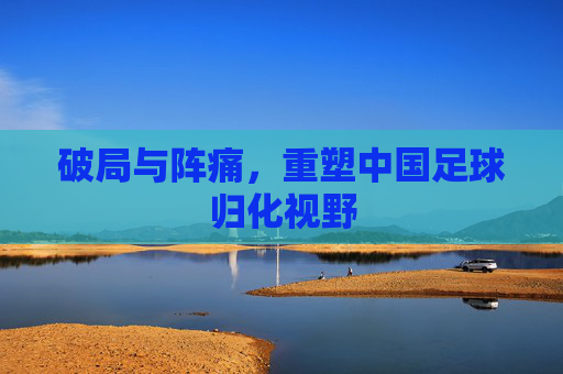 破局与阵痛,重塑中国足球归化视野