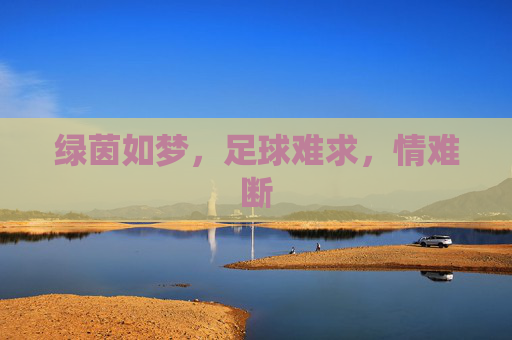 绿茵如梦,足球难求,情难断