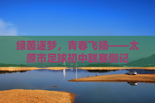 绿茵逐梦，青春飞扬——太原市足球初中联赛侧记