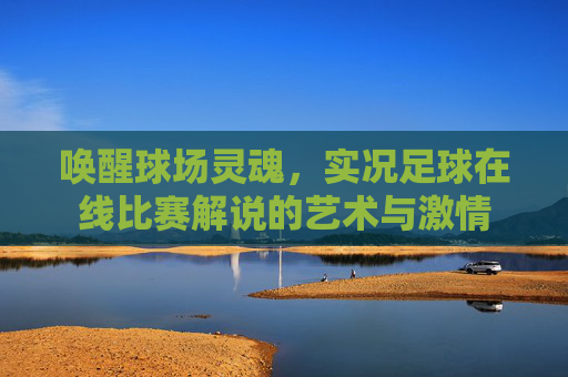 唤醒球场灵魂,实况足球在线比赛解说的艺术与激情