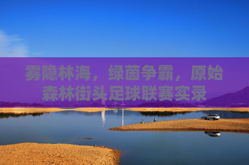雾隐林海,绿茵争霸,原始森林街头足球联赛实录