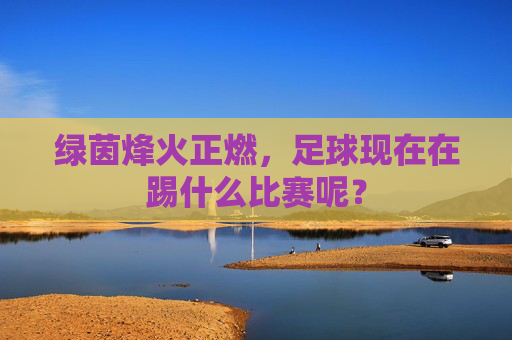 绿茵烽火正燃,足球现在在踢什么比赛呢?