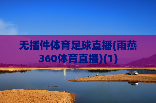 无插件体育足球直播(雨燕360体育直播)(1)