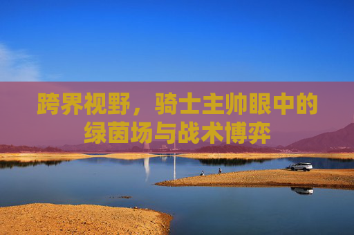 跨界视野,骑士主帅眼中的绿茵场与战术博弈