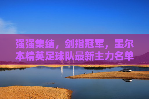 强强集结,剑指冠军,墨尔本精英足球队最新主力名单深度解析