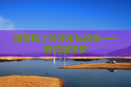 绿茵场上的汗水与欢笑——我的足球梦