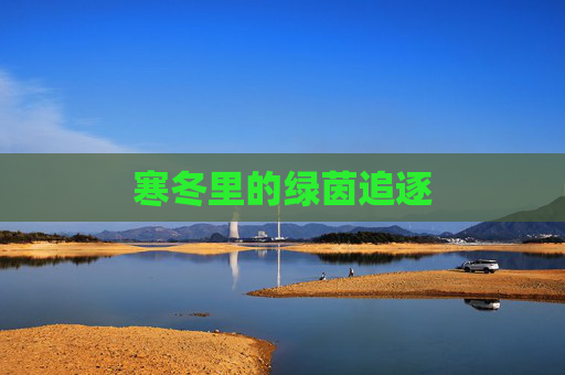 寒冬里的绿茵追逐