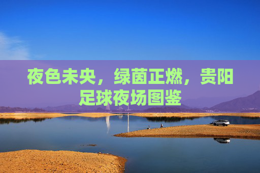 夜色未央,绿茵正燃,贵阳足球夜场图鉴