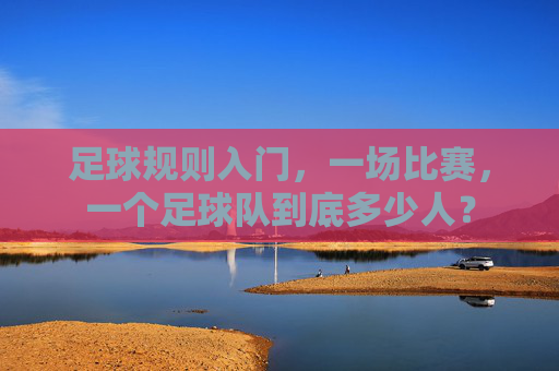 足球规则入门，一场比赛，一个足球队到底多少人？