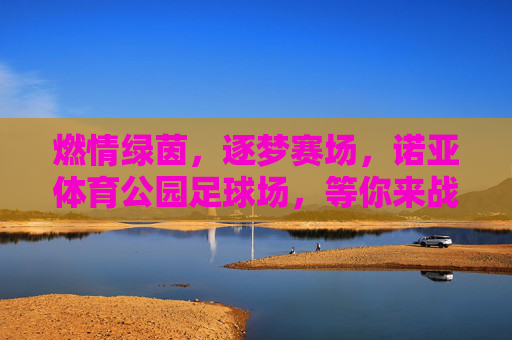 燃情绿茵，逐梦赛场，诺亚体育公园足球场，等你来战！