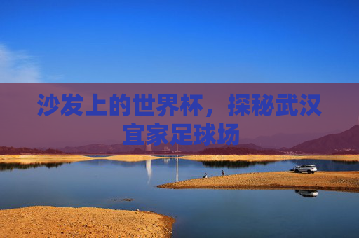 沙发上的世界杯,探秘武汉宜家足球场