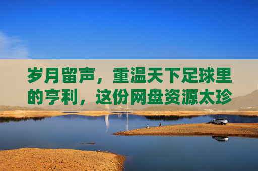 岁月留声，重温天下足球里的亨利，这份网盘资源太珍贵了