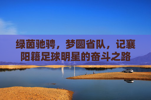 绿茵驰骋，梦圆省队，记襄阳籍足球明星的奋斗之路
