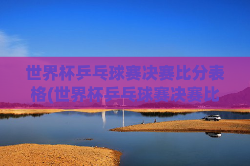 世界杯乒乓球赛决赛比分表格(世界杯乒乓球赛决赛比分表格图片)