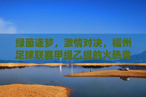绿茵逐梦,激情对决,福州足球联赛甲组乙组的火热竞技