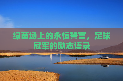 绿茵场上的永恒誓言,足球冠军的励志语录