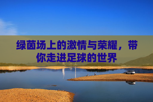 绿茵场上的激情与荣耀，带你走进足球的世界