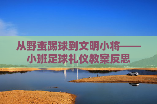 从野蛮踢球到文明小将——小班足球礼仪教案反思