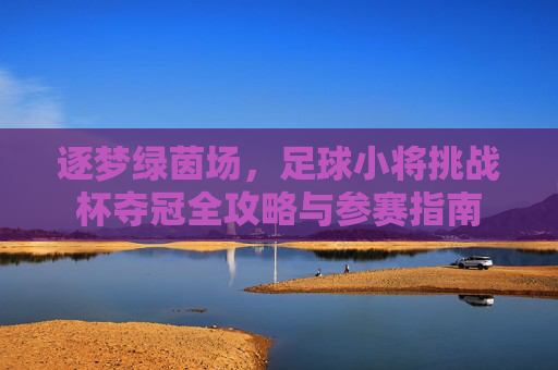 逐梦绿茵场，足球小将挑战杯夺冠全攻略与参赛指南