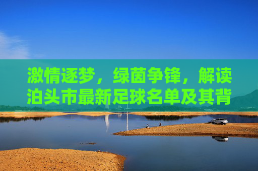 激情逐梦，绿茵争锋，解读泊头市最新足球名单及其背后的力量