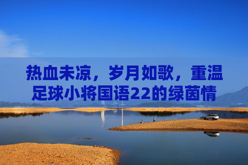 热血未凉,岁月如歌,重温足球小将国语22的绿茵情怀