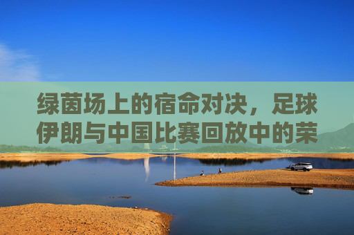 绿茵场上的宿命对决，足球伊朗与中国比赛回放中的荣耀与遗憾