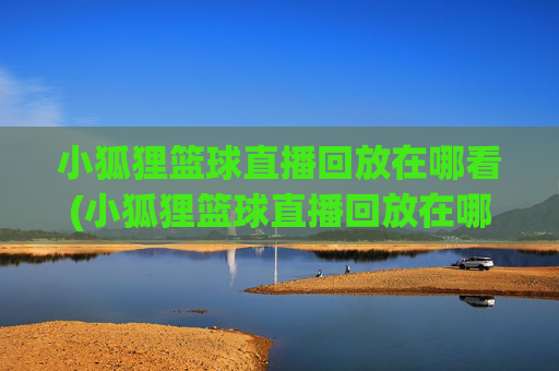 小狐狸篮球直播回放在哪看(小狐狸篮球直播回放在哪看啊)