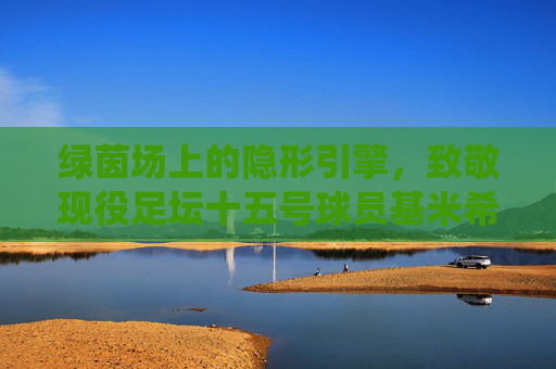 绿茵场上的隐形引擎，致敬现役足坛十五号球员基米希的全面进化