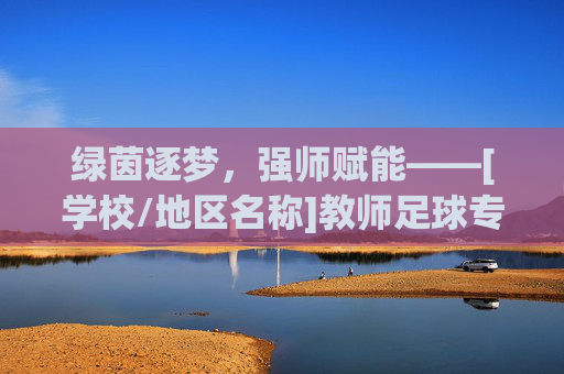 绿茵逐梦，强师赋能——[学校/地区名称]教师足球专项培训活动圆满落幕