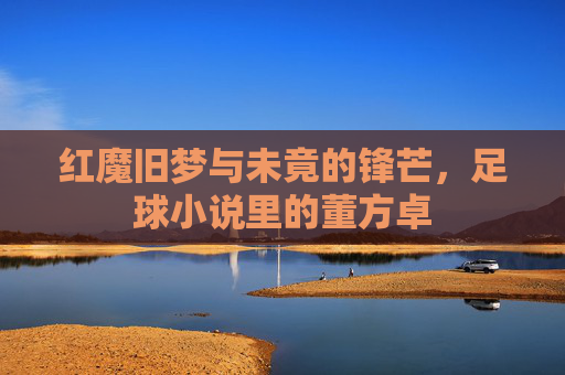 红魔旧梦与未竟的锋芒，足球小说里的董方卓