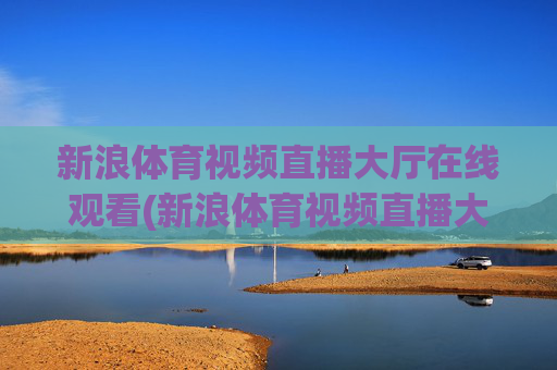 新浪体育视频直播大厅在线观看(新浪体育视频直播大厅在线观看免费)