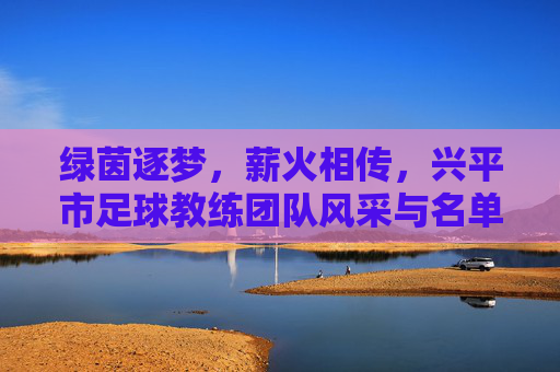 绿茵逐梦,薪火相传,兴平市足球教练团队风采与名单一览