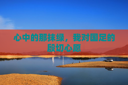 心中的那抹绿，我对国足的殷切心愿