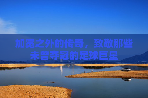 加冕之外的传奇，致敬那些未曾夺冠的足球巨星