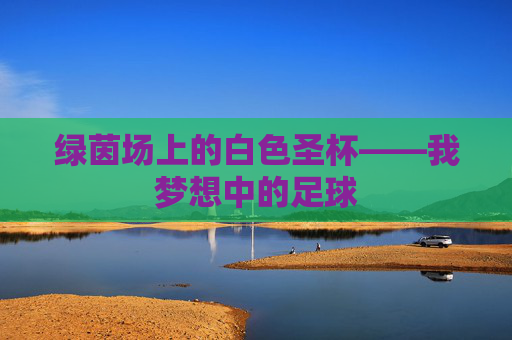 绿茵场上的白色圣杯——我梦想中的足球