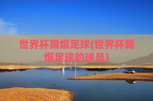 世界杯踢爆足球(世界杯踢爆足球的球员)