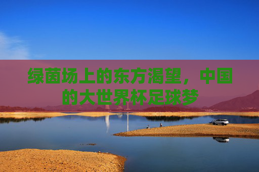 绿茵场上的东方渴望,中国的大世界杯足球梦