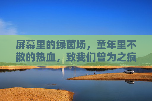屏幕里的绿茵场，童年里不散的热血，致我们曾为之疯狂的足球游戏岁月