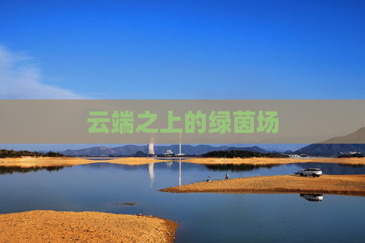 云端之上的绿茵场