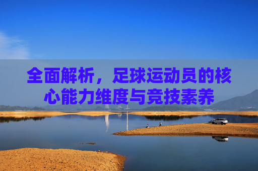 全面解析,足球运动员的核心能力维度与竞技素养