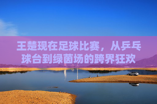 王楚现在足球比赛，从乒乓球台到绿茵场的跨界狂欢