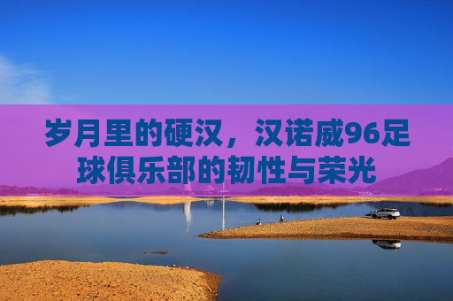 岁月里的硬汉,汉诺威96足球俱乐部的韧性与荣光