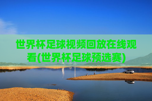 世界杯足球视频回放在线观看(世界杯足球预选赛)