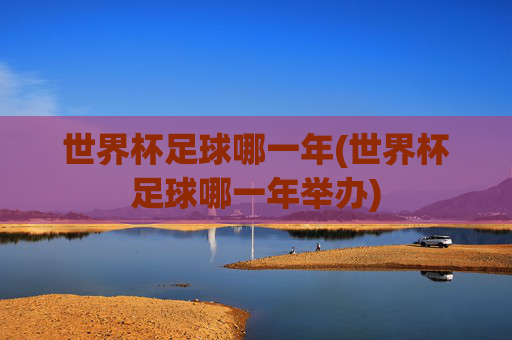 世界杯足球哪一年(世界杯足球哪一年举办)